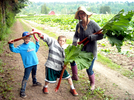 rhubarb glean fight.png